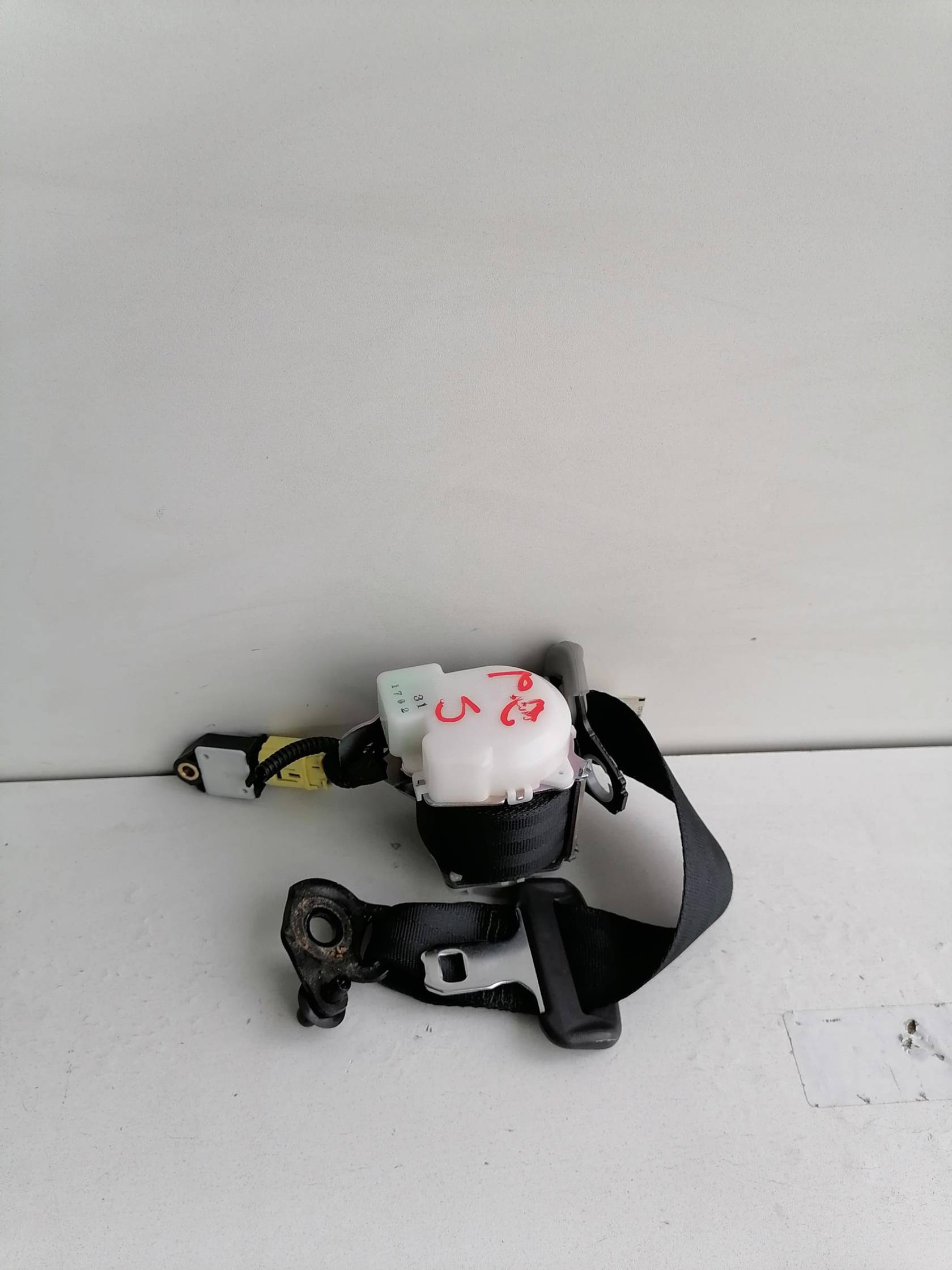 Cintura di sicurezza post. sx.